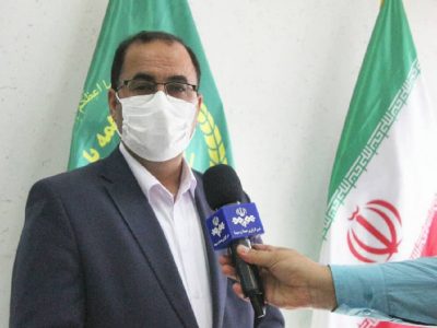 سالانه ۸۰ هزار تن مرغ در لرستان تولید می شود