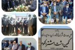 افزایش بیست درصدی تولید شیر خام در لرستان