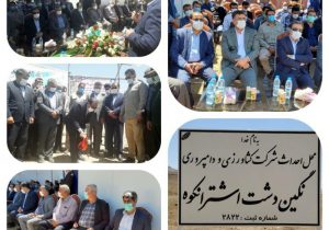 افزایش بیست درصدی تولید شیر خام در لرستان