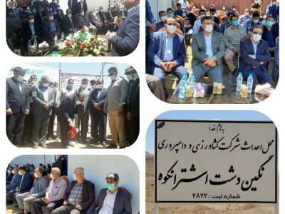 افزایش بیست درصدی تولید شیر خام در لرستان