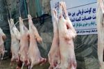 قربانی ۱۷۱۸ راس دام و توزیع بین نیازمندان