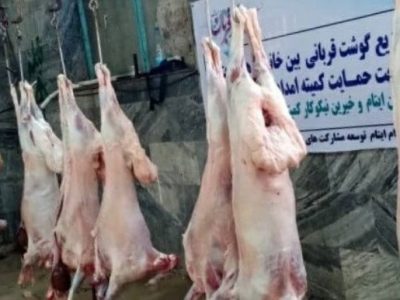 قربانی ۱۷۱۸ راس دام و توزیع بین نیازمندان