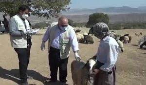جهادگران لرستانی در خدمت مناطق عشایری