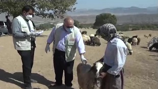 جهادگران لرستانی در خدمت مناطق عشایری
