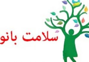 گروه های سلامت بانوان در محلات حاشیه شهر مستقر می شوند / توزیع ۲۰۰ پرس غذای گرم در محله فلک الدین