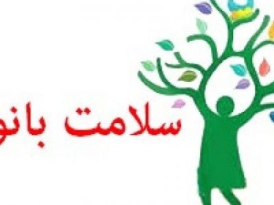 گروه های سلامت بانوان در محلات حاشیه شهر مستقر می شوند / توزیع ۲۰۰ پرس غذای گرم در محله فلک الدین