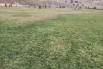 تعدد تیم ها و بی برنامگی چالش این روزهای فوتبال معمولان!