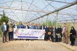 اجرای پویش بذرکاری برای احیای جنگل های زاگرس/احیا ۲۰۰۰ هکتارجنگل