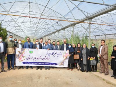 اجرای پویش بذرکاری برای احیای جنگل های زاگرس/احیا ۲۰۰۰ هکتارجنگل