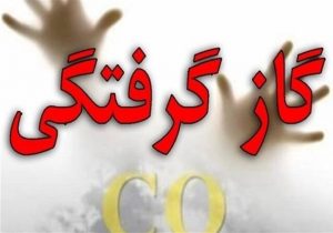مرگ ۲ نفر براثر گازگرفتی در کوهدشت