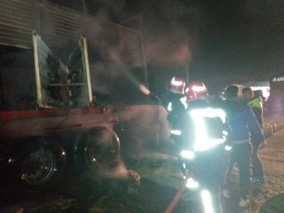 تلف شدن ۲۴ رأس گوسفند بر اثر آتش سوزی تریلی