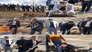 برگزاری پویش کاشت نهال و بذرکاری در شهرستان پلدختر