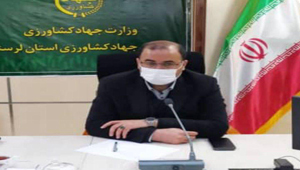 نظارت برکالاهای اساسی بزودی از طریق سامانه های هوشمند انجام می شود