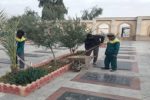 کاشت نهال در محوطه گلزار شهدا پلدختر