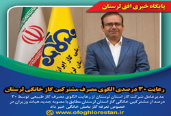 رعایت ۳۰ درصدی الگوی مصرف مشترکین گاز خانگی لرستان