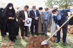 بانوان پا به پای مردان در فرهنگ شهادت و رشادت پیش قدم بوده‌اند/ ۲۳۳ نهال مثمر یادمان بانوان شهیده خرم آباد غرس شد