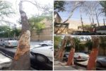 فرهنگ؛ حلقه‌ی مفقوده توسعه؛
