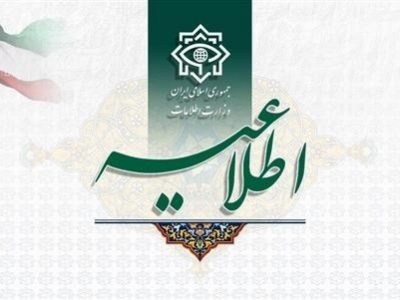 اطلاعیه مهم وزارت اطلاعات در بررسی ادعای تخلفات یک شرکت نهاده‌های دامی