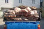 کشف مرغ غیربهداشتی در دورود