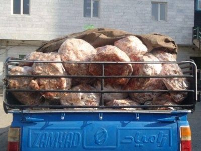 کشف مرغ غیربهداشتی در دورود