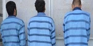 دستگیری سارقان و کشف ۱۷ فقره سرقت در بروجرد