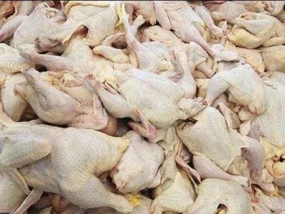 کشف مرغ غیر بهداشتی دردلفان