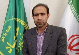 ۲۵هزار تن گندم در پلدختر برداشت می شود/چهار مرکز خرید در پلدختر آماده شد