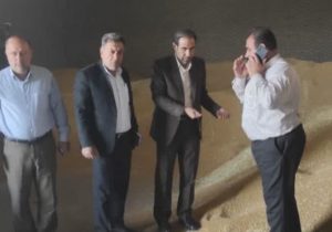 آغاز خرید تضمینی گندم و کلزا در لرستان
