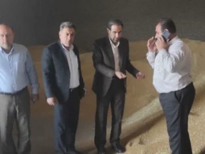 آغاز خرید تضمینی گندم و کلزا در لرستان