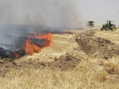 سوزاندن کاه و کلش در لرستان ممنوع