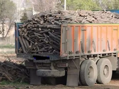 توقیف کامیون حامل ۱۰ تن چوب قاچاق در رومشکان