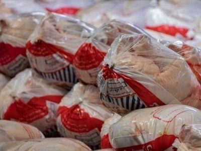 تولید ۷۵۰۰ تن مرغ در لرستان تا پایان مردادماه