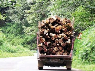 کشف چوب قاچاق در بروجرد