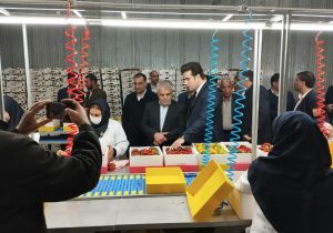 اولین کارگاه بسته بندی محصولات کشاورزی لرستان افتتاح شد