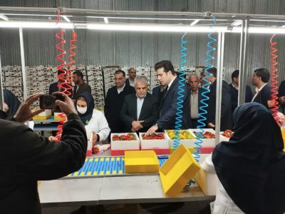 اولین کارگاه بسته بندی محصولات کشاورزی لرستان افتتاح شد