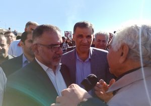 اجرای عمومی درختکاری مستلزم درک مناسب از ظرفیت های خاک و درخت است