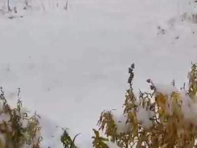 قطع راه ارتباطی ۹۰ روستای الیگودرز در پی بارش برف