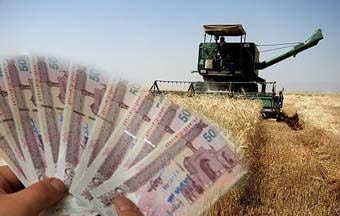 پرداخت۱۰ هزار میلیارد ریال از مطالبات گندم کاران لرستانی