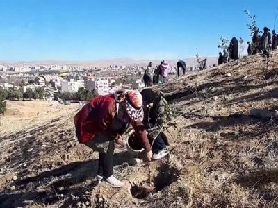 اجرای پویش درختکاری در سایه مادر در لرستان