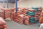 کشف ۲۵ تن برنج احتکار شده در پلدختر