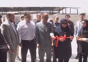 افتتاح اولین واحد صنعتی بسته‌بندی مرغ و ماهی در الیگودرز