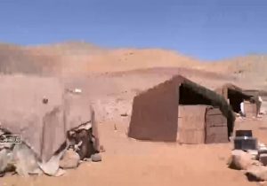 توزیع بیش از سه هزار تن نهاده‌ دامی در بیرانشهر خرم آباد