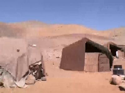 توزیع بیش از سه هزار تن نهاده‌ دامی در بیرانشهر خرم آباد