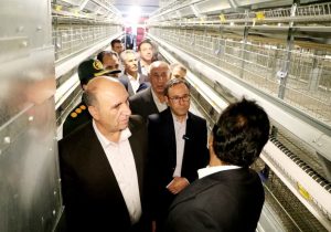 افتتاح واحد ۴۵ هزار قطعه‌ای پرورش مرغ در خرم‌آباد