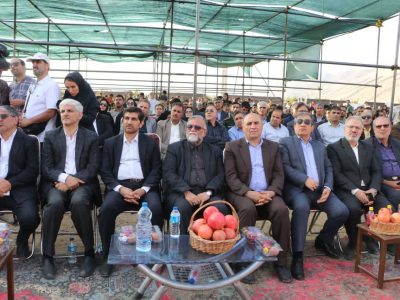 جشنواره انار تنگ سیاب