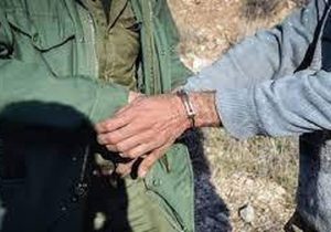 دستگیری متخلفان زیست محیطی در الیگودرز