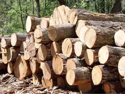 ۲ تن چوب فاقد مجوز در پلدختر کشف شد