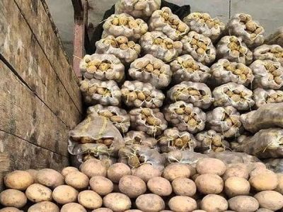 کشف انبار احتکار بیش از دو هزار تُن سیب‌زمینی در خرم‌آباد