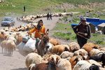 مرمت ۱۱۰ کیلومتر راه عشایری در لرستان