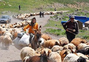 مرمت ۱۱۰ کیلومتر راه عشایری در لرستان